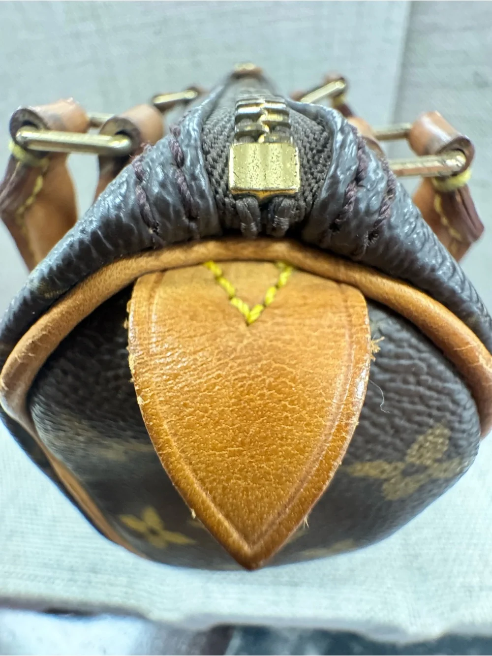 Louis Vuitton iconic louis